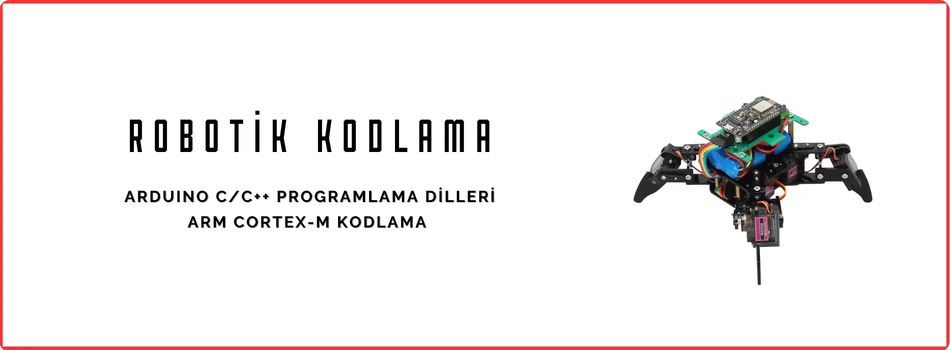 Fuchsia Robotik Kodlama