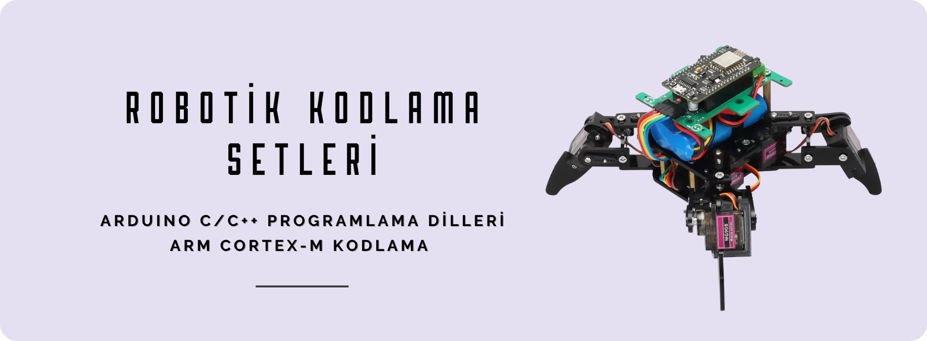 Fuchsia Robotik Kodlama